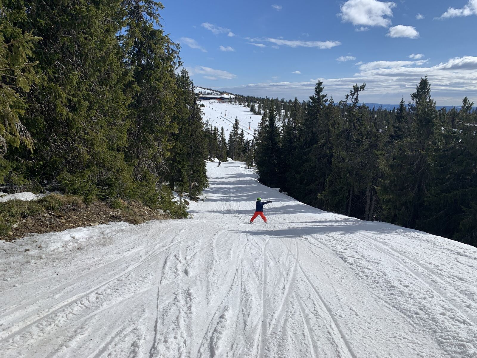 Barn på ski i en løype gjennom granskogen