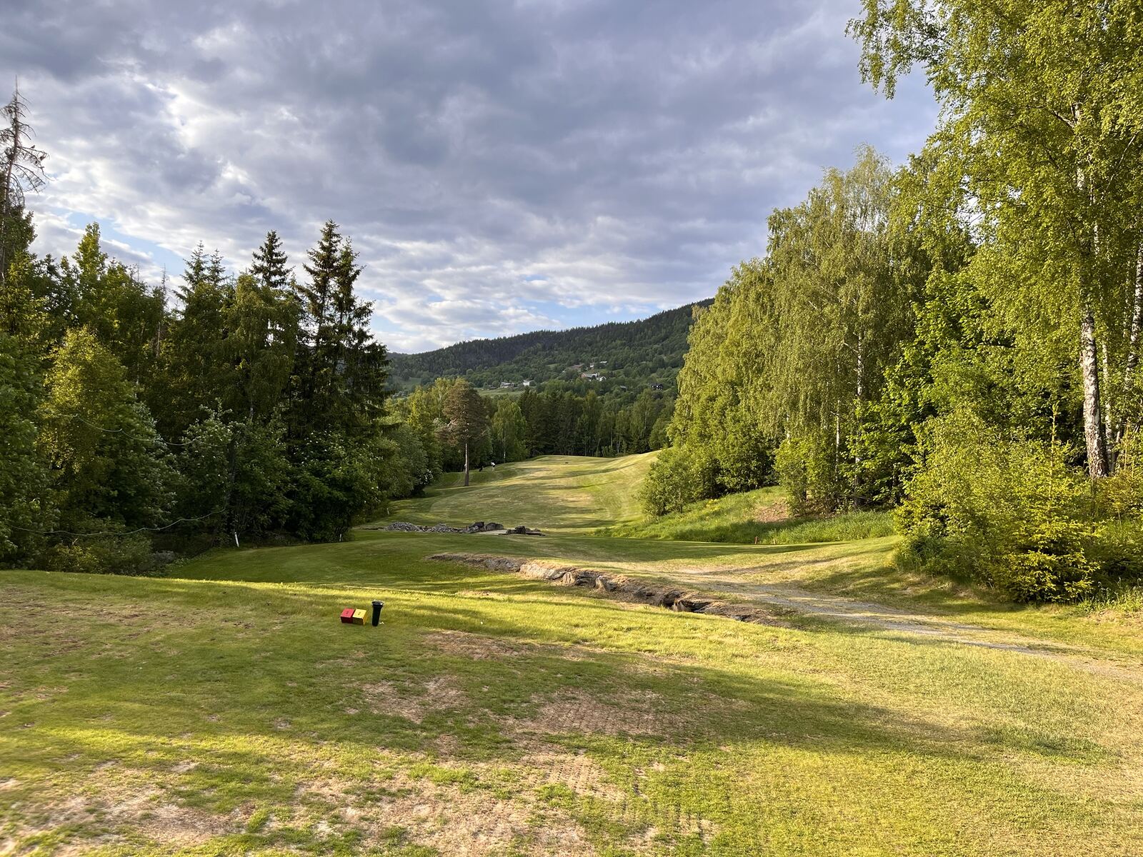 Golfbane omgitt av bjørk og granskog
